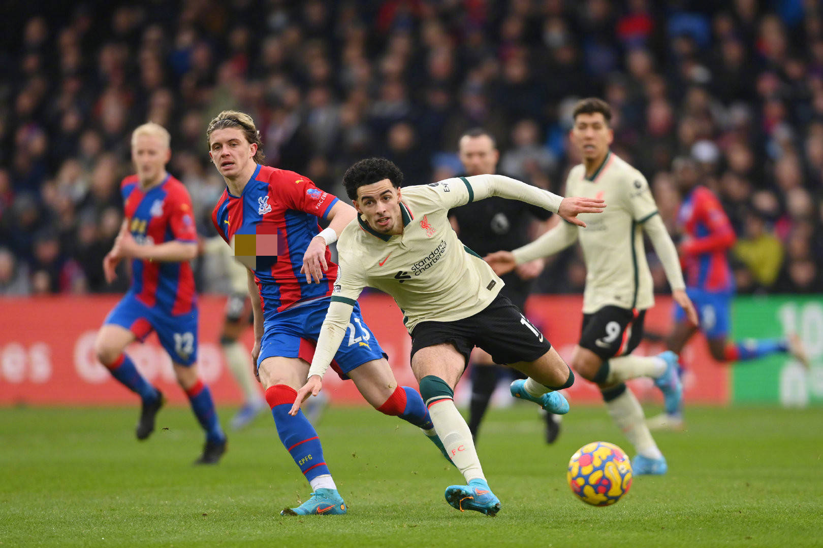 格兰中场张 格兰中场张